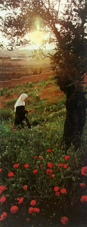 Image of a Benedictine nun on the mount of olives.